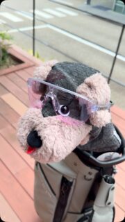 凄く暑い日が続いてます
暑さ対策だけでなく紫外線から目を守る対策も🕶️

#オークリー #目の保護にサングラス #代官山ゴルフ倶楽部 #キャディバッグ #ヘッドカバー