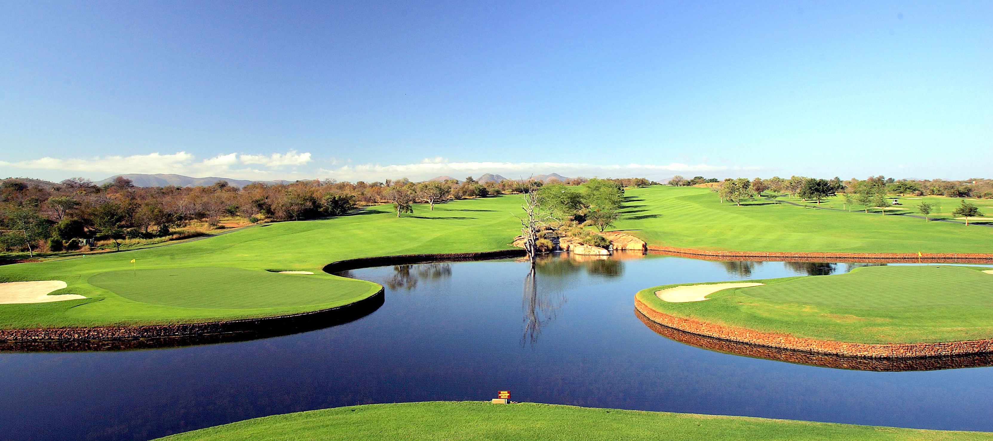 魅力溢れるアンティーククラブ | 代官山ゴルフ倶楽部｜DAIKANYAMA GOLF